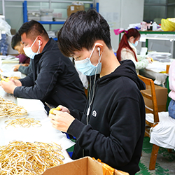 production custom titanium steel hoop earrings wholesale